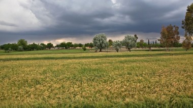 Neuen Windstrom-Rekord durch Sturmtief Billie