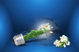 Energie sparen im Haushalt: die besten Tipps und Tricks