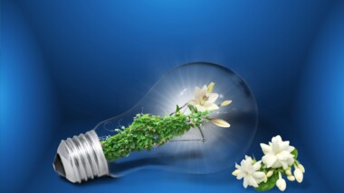 Energie sparen im Haushalt: die besten Tipps und Tricks